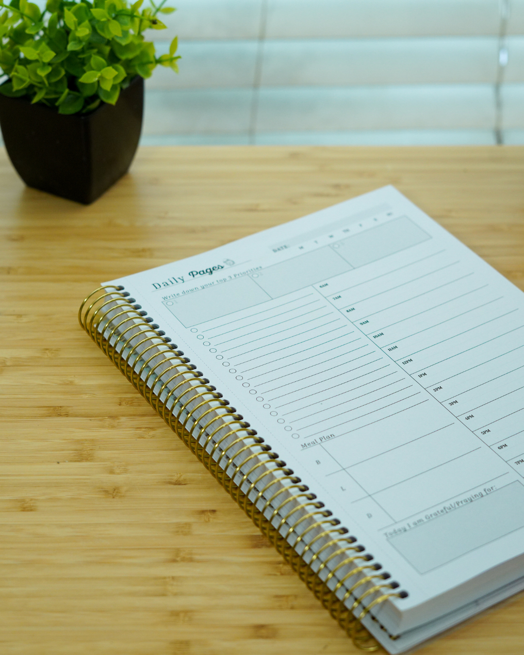 Plan Prep Pray Bundle — Simply Faithful Undated Planner + Daily Pages Companion