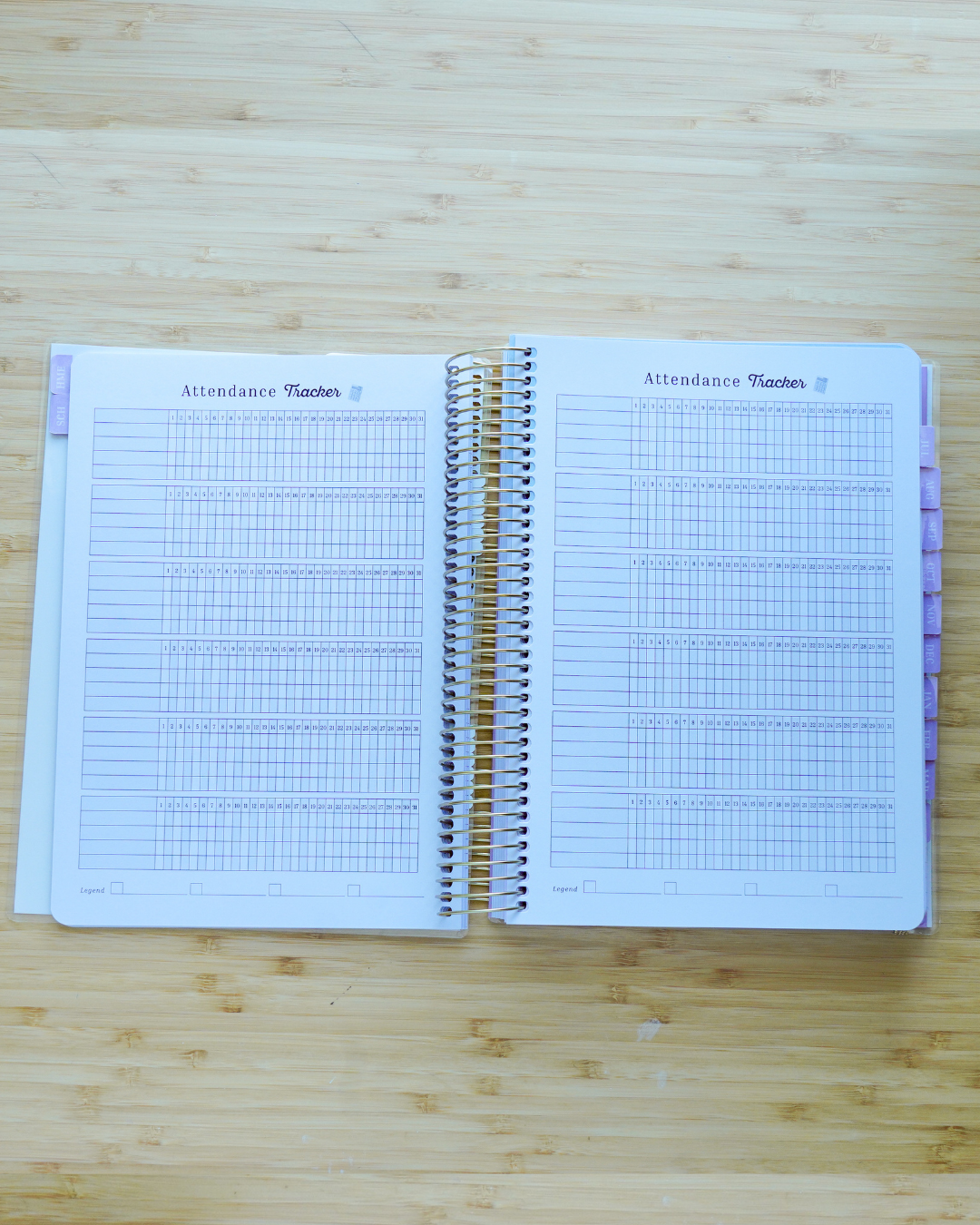 Everyday Beauty - Plan Prep Pray Home Management & Homeschool Planner - Dated (July 2027–June 2028)
